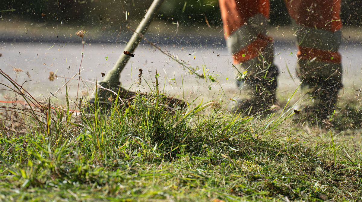 Pelouse, Jardin Et Entretien Des Plantes