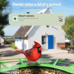 DeasNocx WiFi Bird Feeder Camera 1080P HD Night Vision