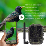 BushiCame 4G LTE Night Wildlife Camera - 4K Video & 30MP Photos