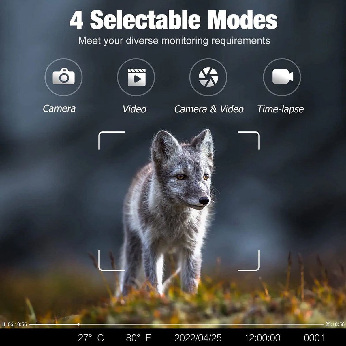 BushiCame 4G LTE Night Wildlife Camera - 4K Video & 30MP Photos