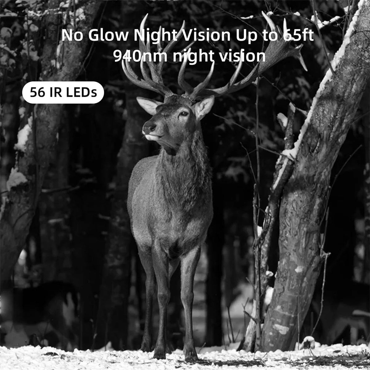 BushiCame 4G LTE Night Wildlife Camera - 4K Video & 30MP Photos