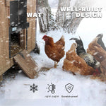 CochiKix Automatic Chicken Coop Door - Predator-Proof Anti-Pinch LCD Timer