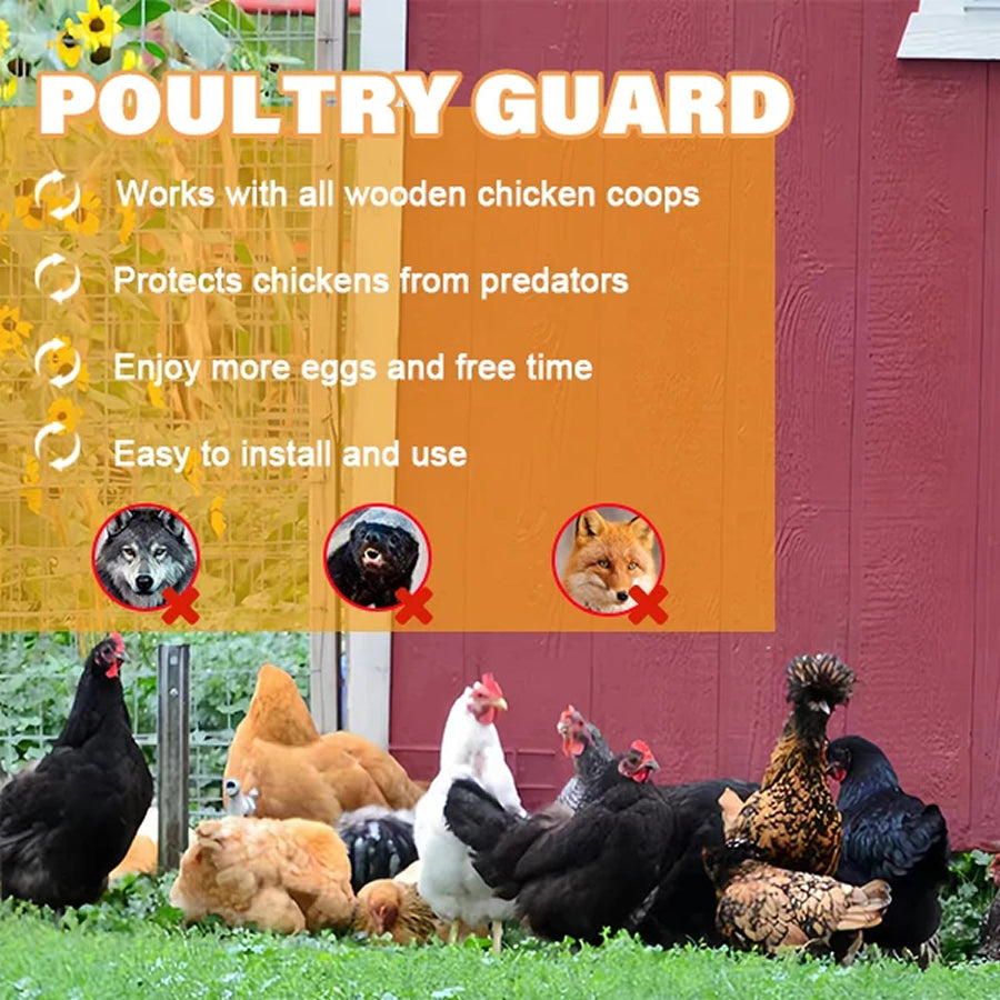 CochiKix Automatic Chicken Coop Door - Predator-Proof Anti-Pinch LCD Timer